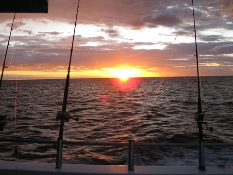 Blue Juice Charters - Accommodation Brunswick Heads 5