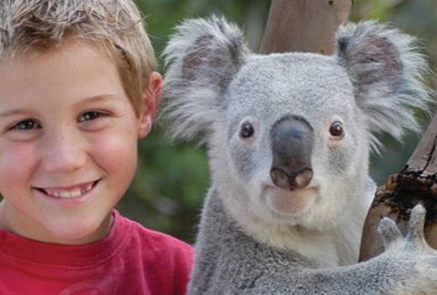 Featherdale Wildlife Park - Accommodation Brunswick Heads 1