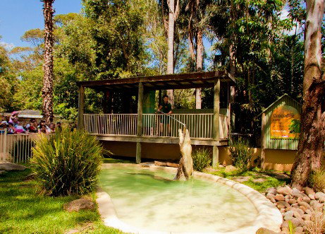 Featherdale Wildlife Park - Accommodation Brunswick Heads 2