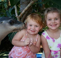 Dolphin Marine Magic - Accommodation Brunswick Heads