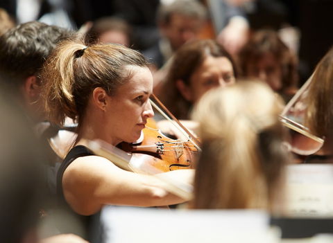 Sydney Symphony Orchestra - Accommodation Brunswick Heads 3