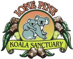 Lone Pine Koala Sanctuary - Accommodation Brunswick Heads 0