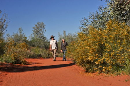 Alice Springs Desert Park - Accommodation Brunswick Heads 3