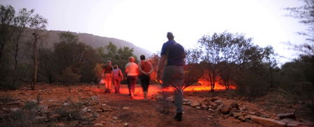 Alice Springs Desert Park - Accommodation Brunswick Heads 4