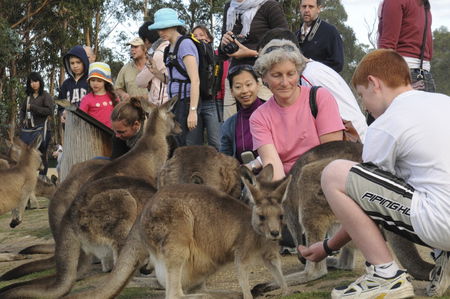 East Coast Natureworld - Accommodation Brunswick Heads 4