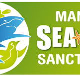 Manly SEA LIFE Sanctuary - Accommodation Brunswick Heads