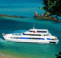 Queensland Day Tours - Accommodation Brunswick Heads