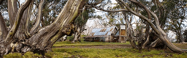 High Country Scenic Tours - Accommodation Brunswick Heads
