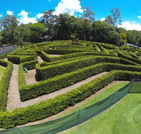 Bellingham Maze - Accommodation Brunswick Heads