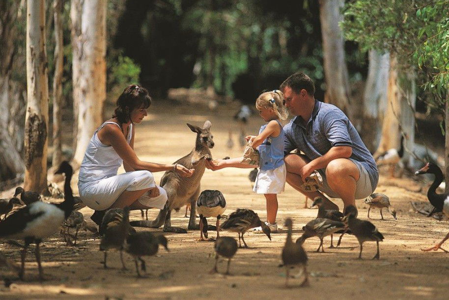 Townsville QLD Accommodation Brunswick Heads