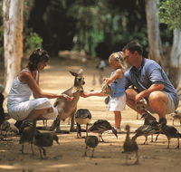 Billabong Sanctuary - Accommodation Brunswick Heads