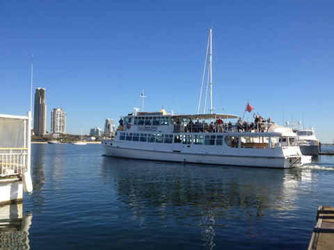 Brisbane Cruises - Accommodation Brunswick Heads 1