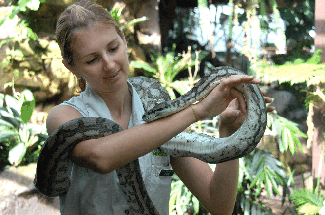 Cairns Wildlife Dome - Accommodation Brunswick Heads 2