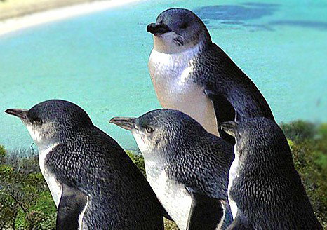  Accommodation Brunswick Heads