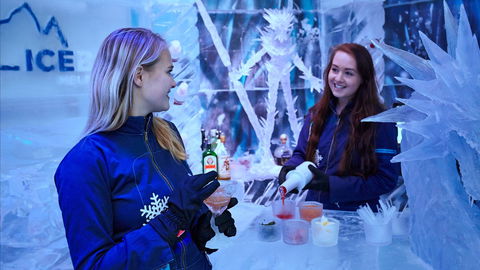 Icebar Melbourne - Accommodation Brunswick Heads 1