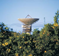 Big Dish - Accommodation Brunswick Heads