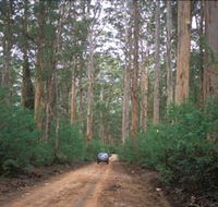 Boranup Drive - Accommodation Brunswick Heads