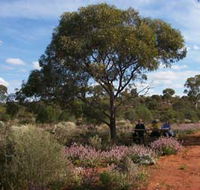 Karlkurla Bushland Park - Accommodation Brunswick Heads