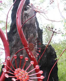 Understory Art In Nature - Accommodation Brunswick Heads 0