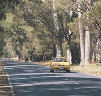 Ludlow Tuart Forest - Accommodation Brunswick Heads