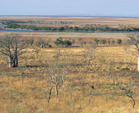 Marglu Billabong - Accommodation Brunswick Heads 0