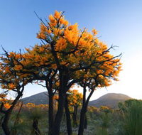 Cape Le Grand National Park - Accommodation Brunswick Heads