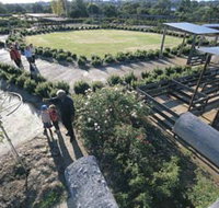 Kojonup Rose Maze - Accommodation Brunswick Heads