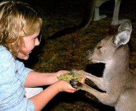 Discovery Bay's Walk On The Wild Side - Accommodation Brunswick Heads 0