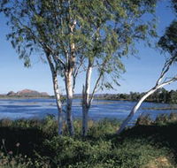 Celebrity Tree Park - Accommodation Brunswick Heads