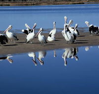 Peel Region Canoe Trails - Accommodation Brunswick Heads