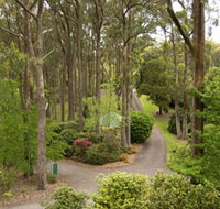 Mount Lofty Botanic Garden - Accommodation Brunswick Heads