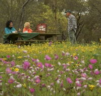 Gwambygine Park - Accommodation Brunswick Heads