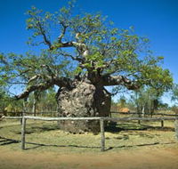 Pigeon Heritage Trail - Accommodation Brunswick Heads