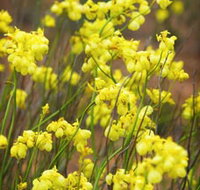 Mount Madden Scenic Drive - Accommodation Brunswick Heads