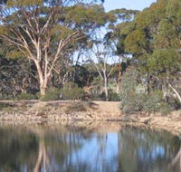Merredin Railway Dam - Accommodation Brunswick Heads