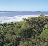 Pink Lake - Accommodation Brunswick Heads