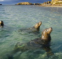 Shoalwater Islands Marine Park - Accommodation Brunswick Heads