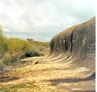 Totadgin Dam Reserve - Accommodation Brunswick Heads
