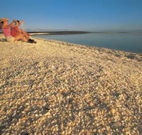 Shell Beach - Accommodation Brunswick Heads