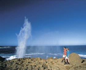 The Blowholes Carnarvon - Accommodation Brunswick Heads 0