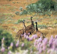 Jurabi Coastal Reserve - Accommodation Brunswick Heads