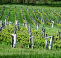 Sienna Estate Winery - Accommodation Brunswick Heads