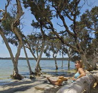 Stokes National Park - Accommodation Brunswick Heads