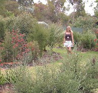 The Mythic Mazes - Accommodation Brunswick Heads