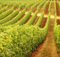 Darlington Estate Winery and Restaurant - Accommodation Brunswick Heads