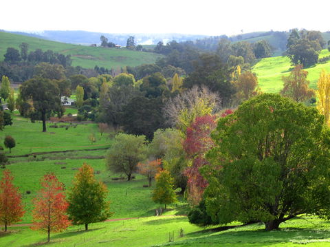 Golden Valley Tree Park - Accommodation Brunswick Heads 0