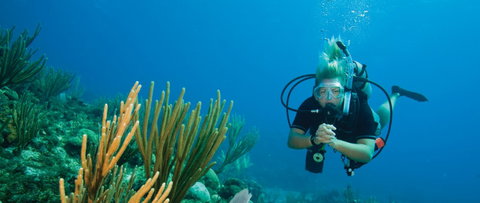 Coastal Water Dive - Accommodation Brunswick Heads 0