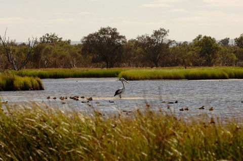 Anytime Adventures In Mandurah & The Peel Region - Accommodation Brunswick Heads 0