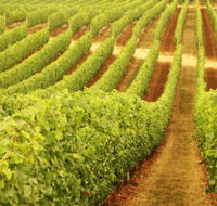 Happs Wines - Accommodation Brunswick Heads