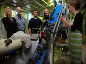 Eyre Peninsula's Seafood Trail - Accommodation Brunswick Heads 0